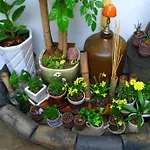 Hanok Guesthouse 201